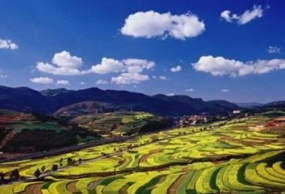 昆明抚仙湖版纳双飞6日游