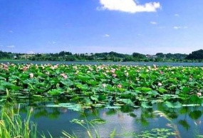 黄龙羌人谷若尔盖九曲花湖《环线》3日游