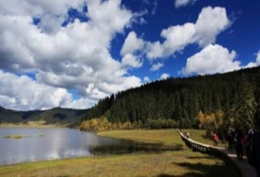 昆明、大理、丽江、香格里拉五星品质双飞1卧6日深度游