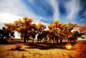 额济纳旗(胡杨林)+敦煌+张掖+巴丹吉林沙漠双飞8日游