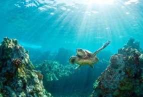 巴厘岛半自由行直飞7日5晚·成都直飞-3U