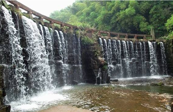 成都峨眉山乐山大佛 都江堰熊猫基地5日游